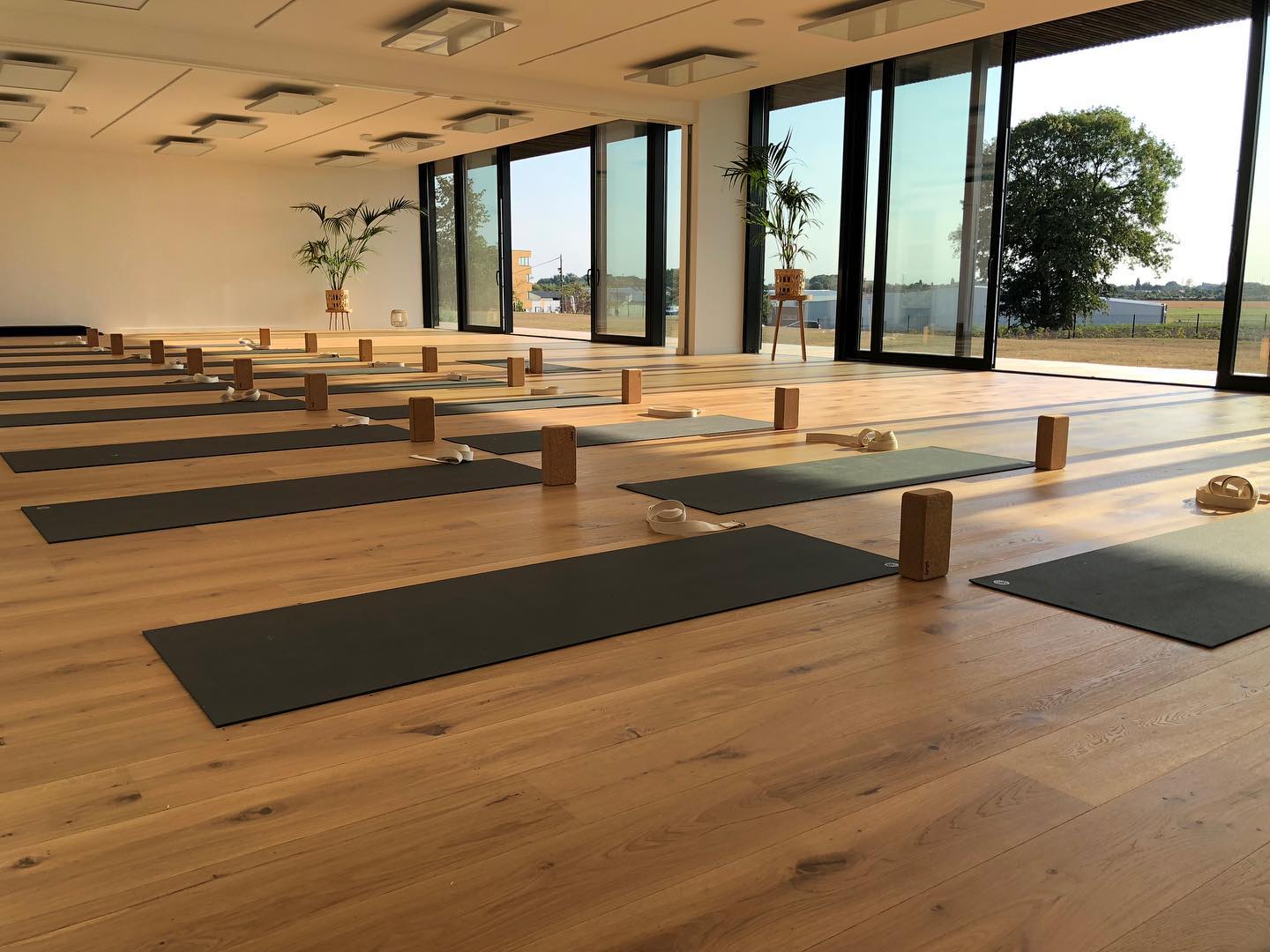 Villa Yoga un lieu wahouu, une cuisine saine et du Yoga Lille By Mat