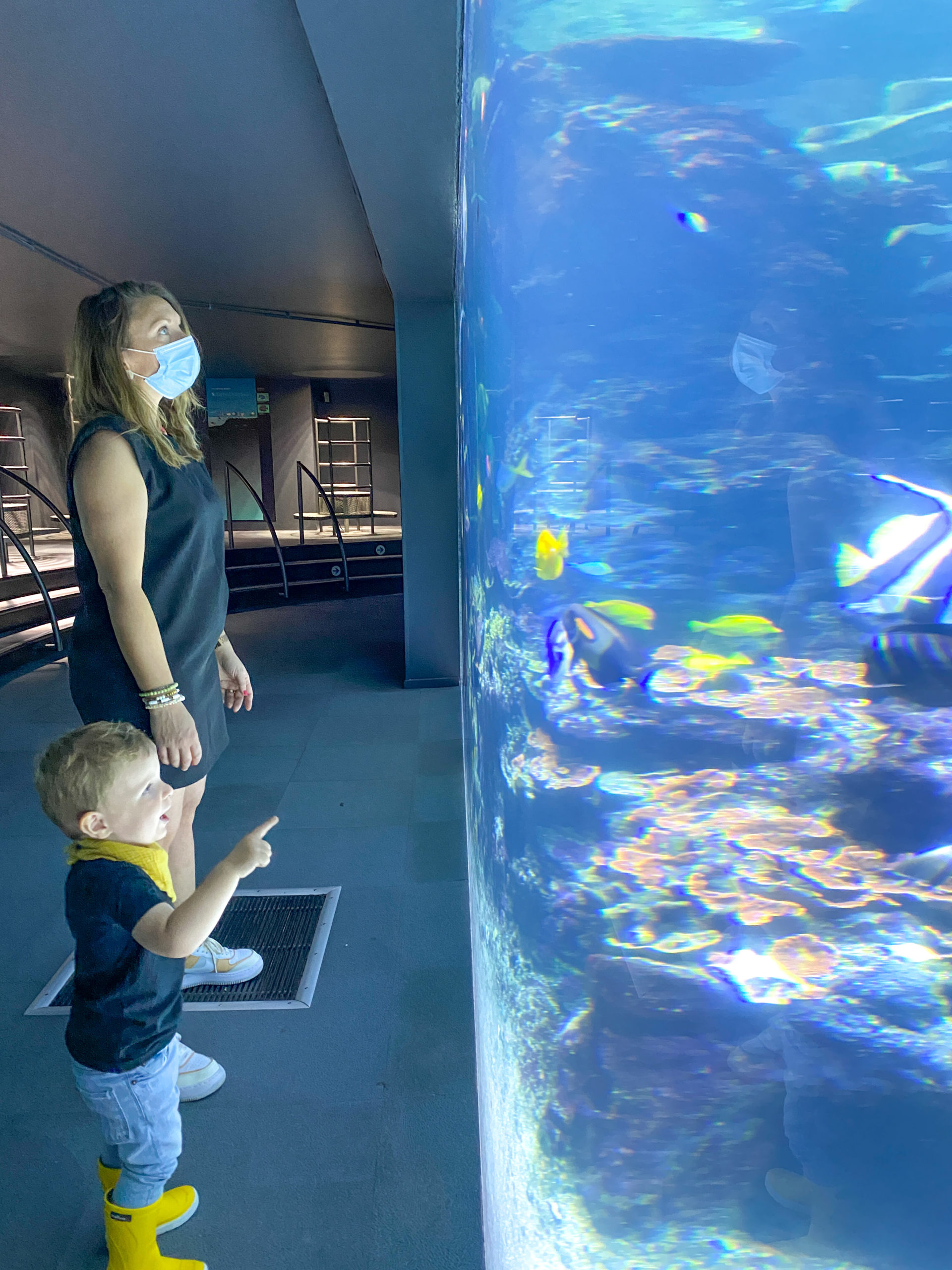 Nausicaa Le Plus Grand Aquarium D Europe Nausicaá : le plus grand aquarium d'Europe