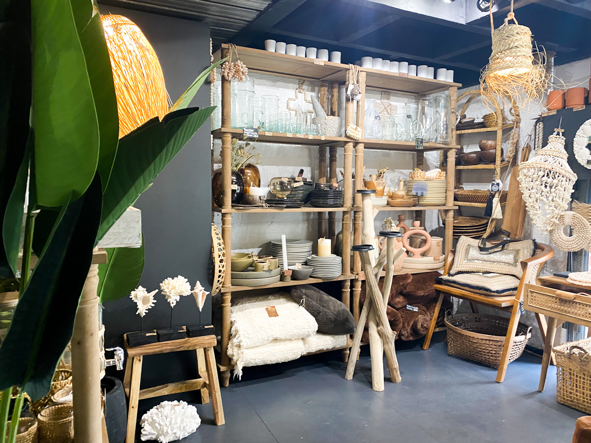 Daisy jolie boutique déco du vieuxlille